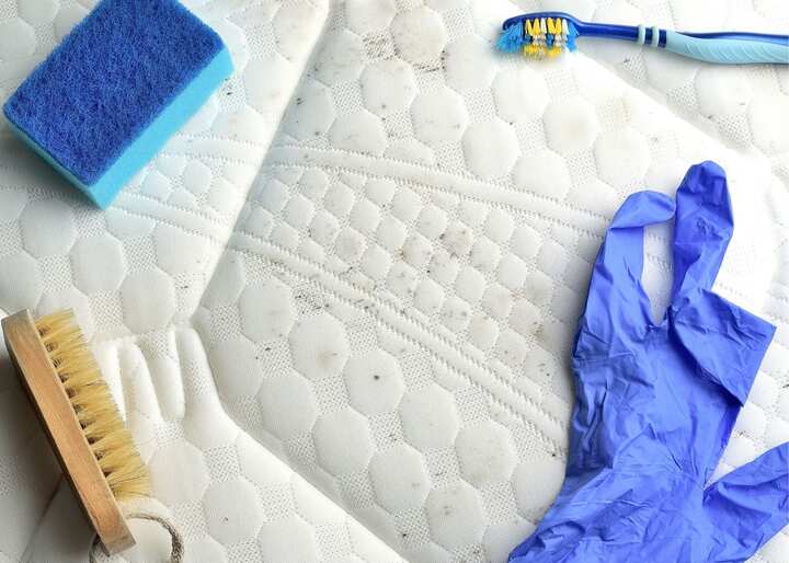 mold removal staten island