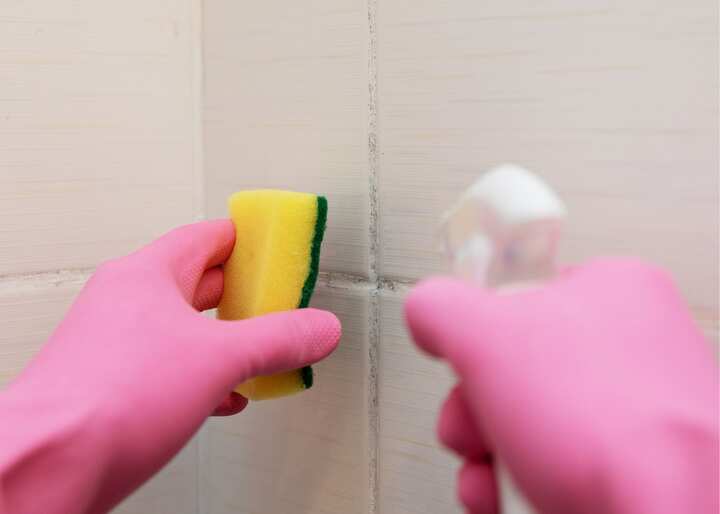 mold removal staten island ny