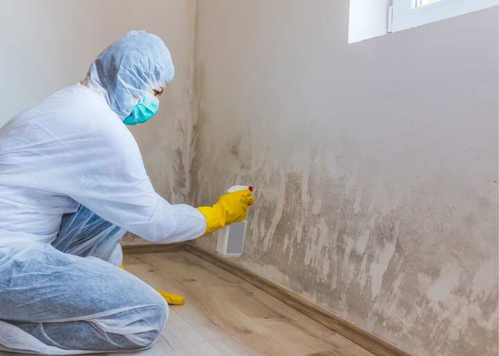 mold remediation staten island ny