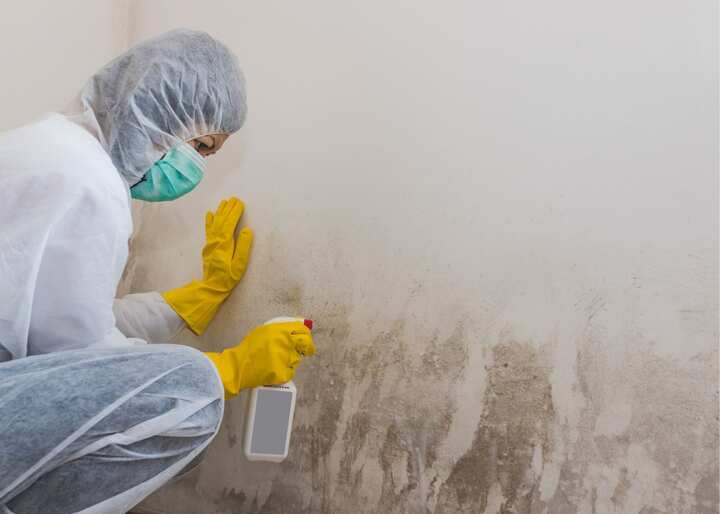 mold remediation staten island ny