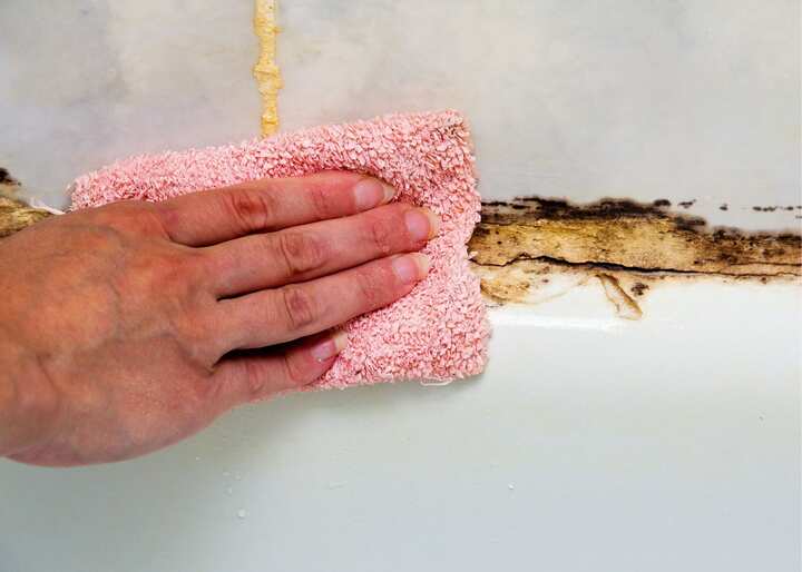 mold remediation staten island ny
