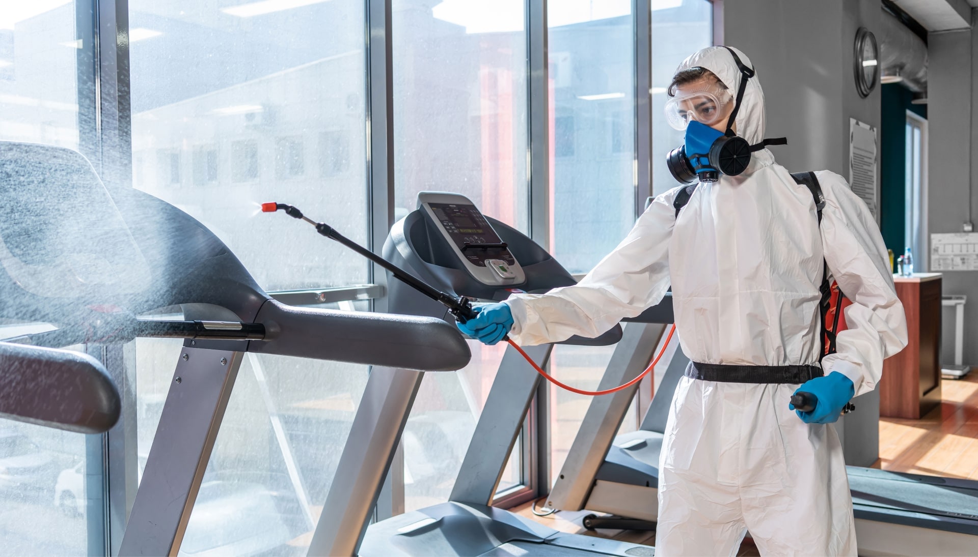 Commercial Mold Removal Services in Staten Island