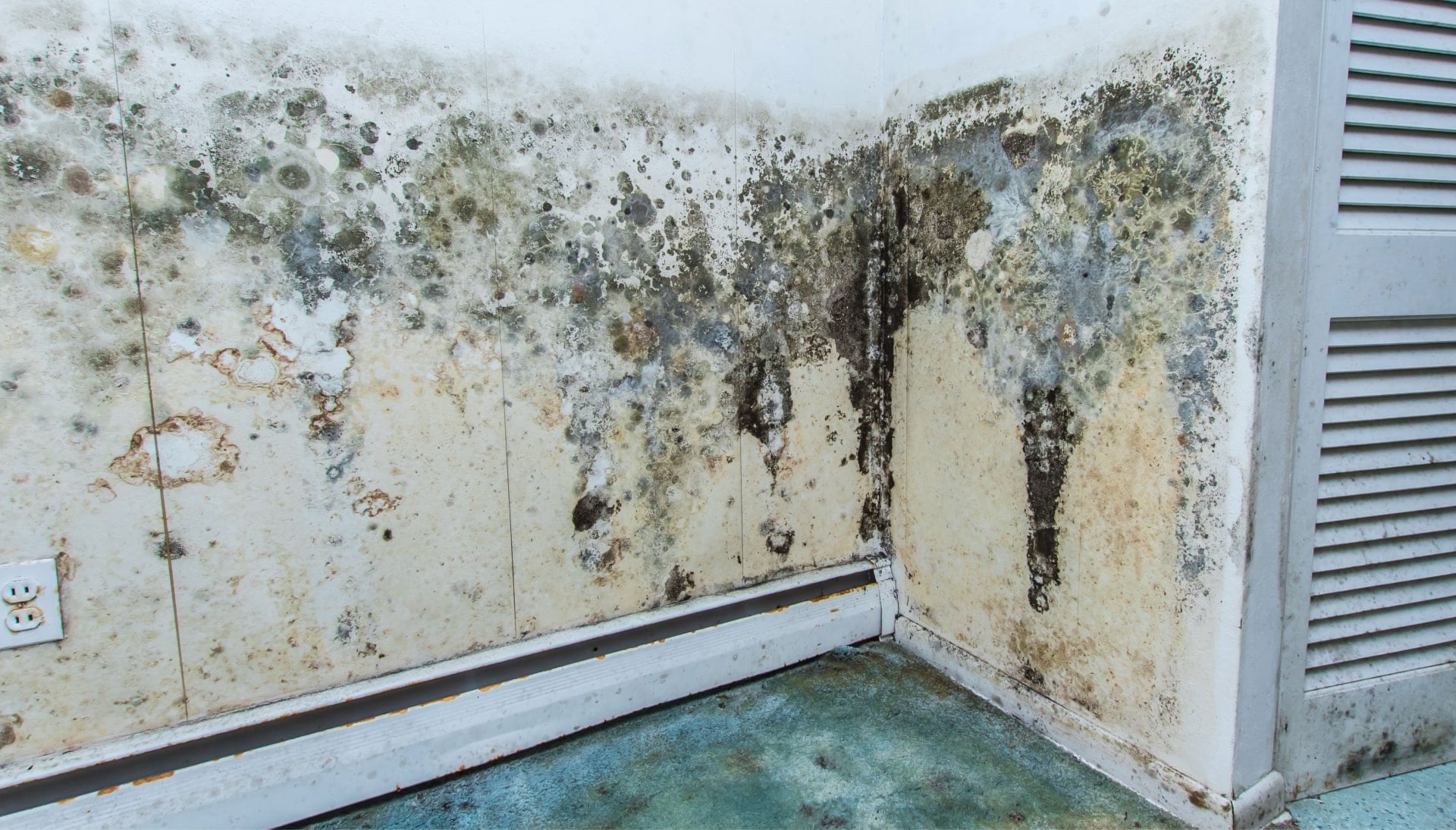 Mold Damage Odor Control Services in Staten Island