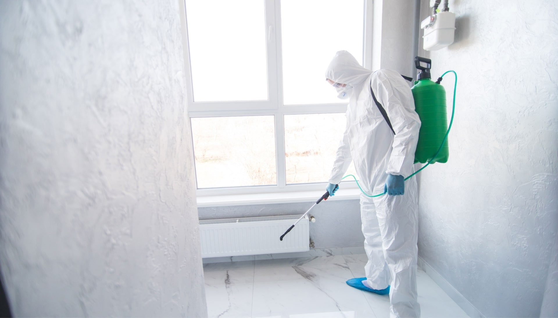 Mold Inspection Services in Staten Island